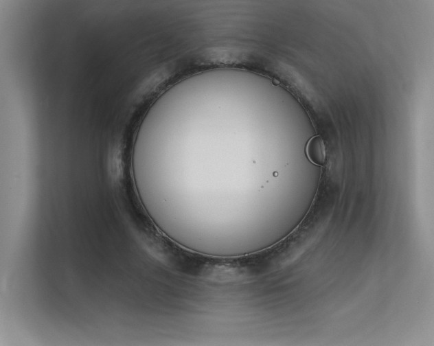 X0000112390635200908131550