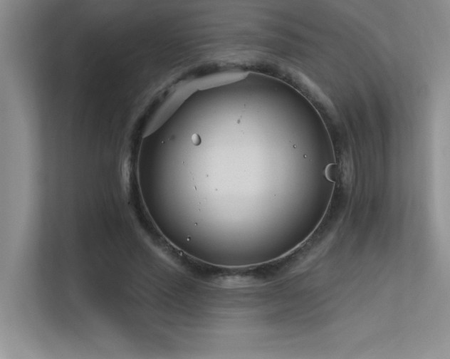 X0000112390637200908131550