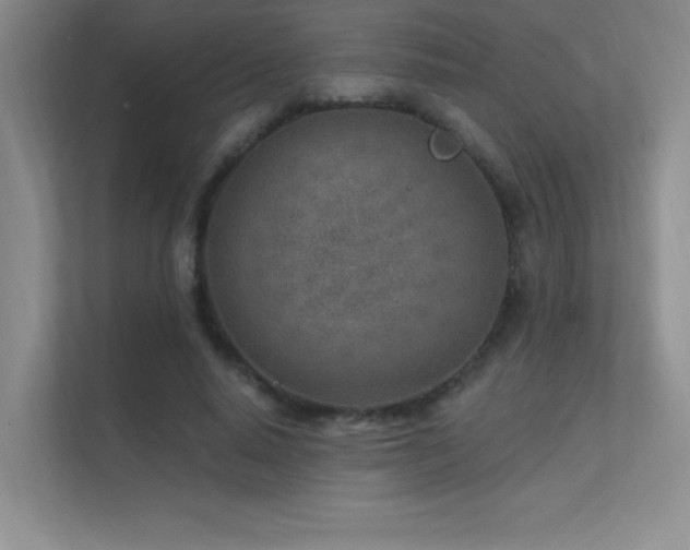 X0000112390640200908131550