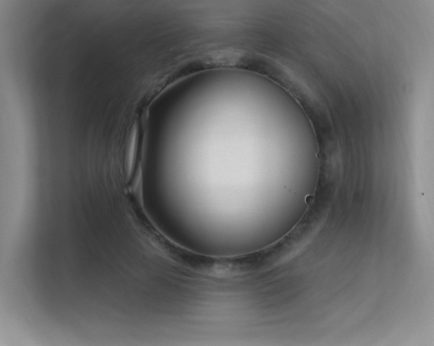 X0000112390641200908131550