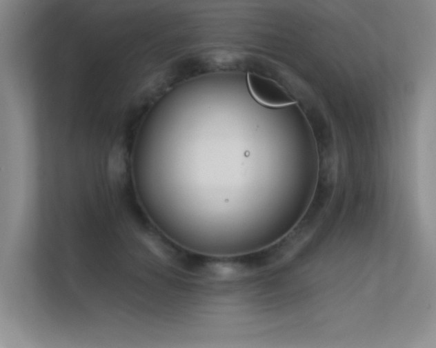 X0000112390654200908131550