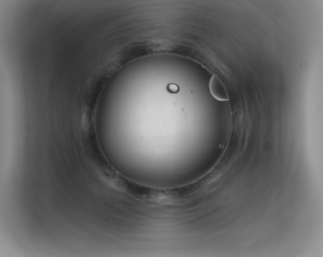 X0000112390655200908131550