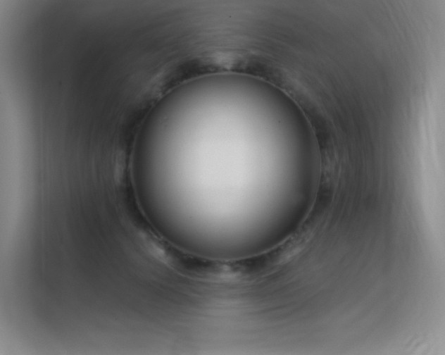 X0000112390656200908131550