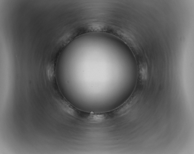 X0000112390665200908131550