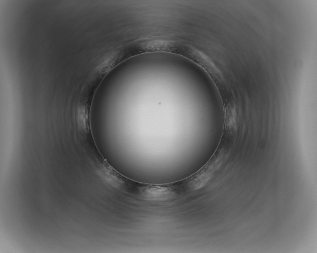 X0000112390669200908131550