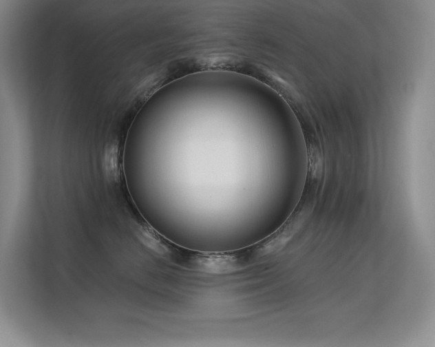 X0000112390670200908131550