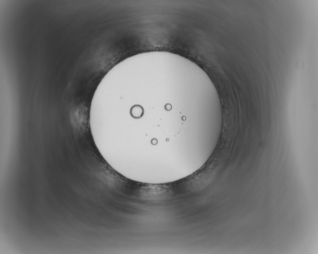 X0000112390672200908131550