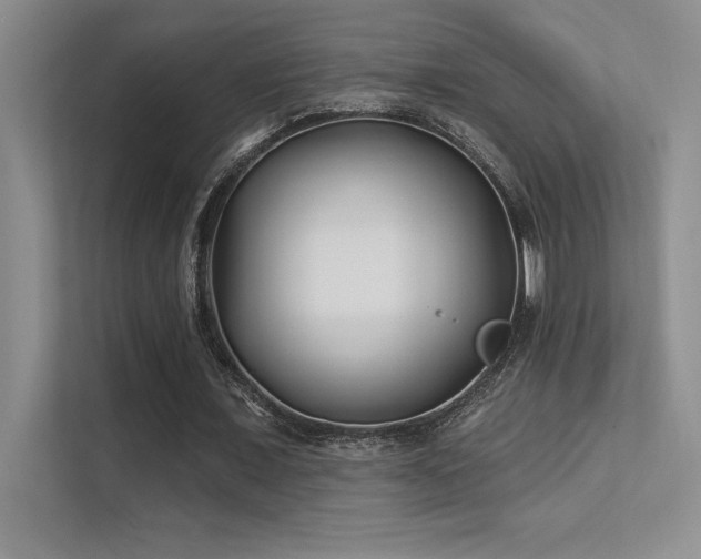 X0000112390675200908131549