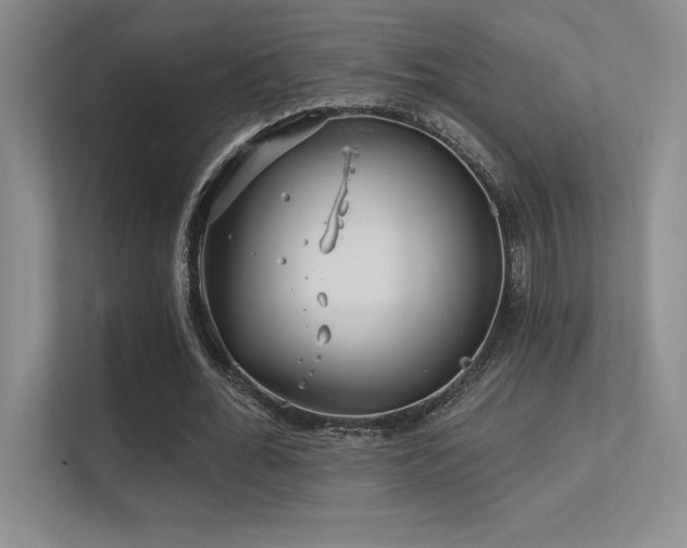 X0000112390676200908131549