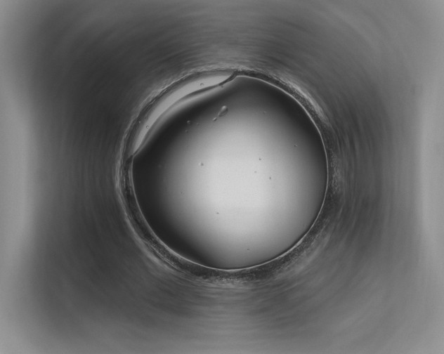 X0000112390677200908131549