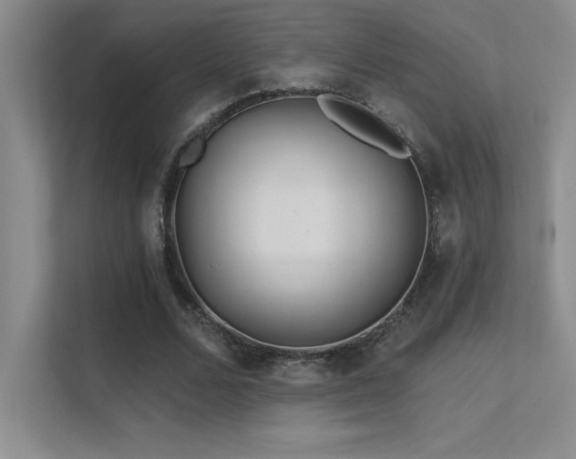 X0000112390680200908131549