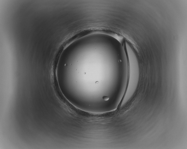 X0000112390681200908131549