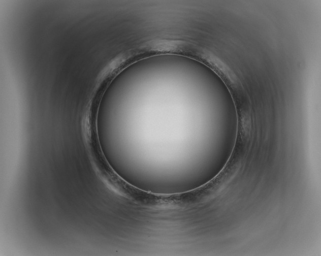 X0000112390682200908131549