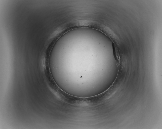 X0000112390683200908131549