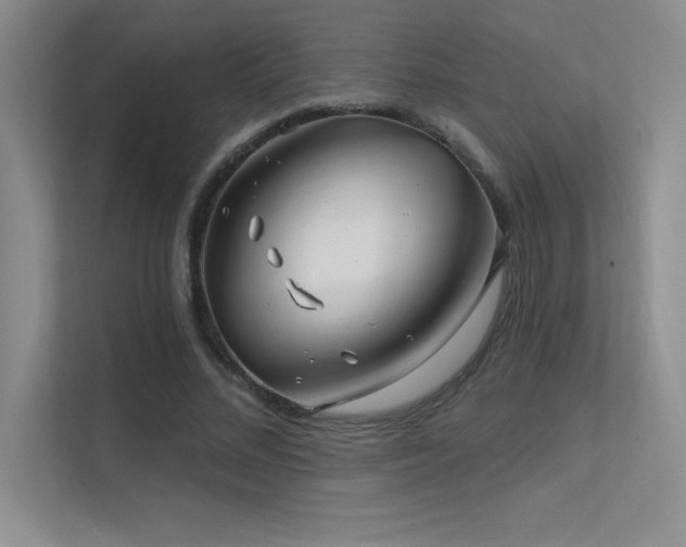 X0000112390684200908131549