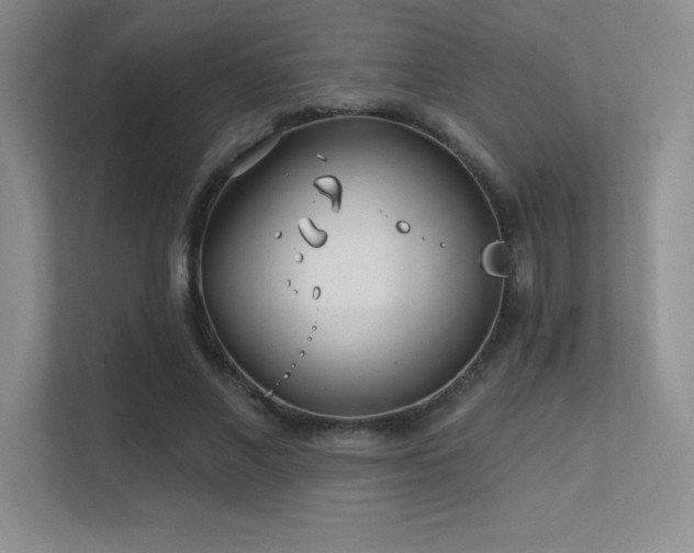 X0000112390685200908131549