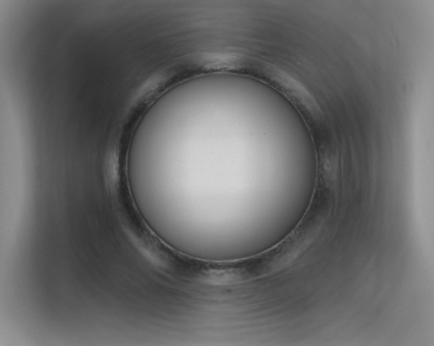 X0000112390686200908131549