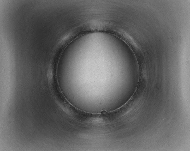 X0000112390687200908131549