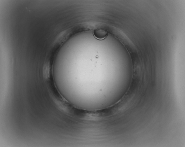 X0000112390694200908131549