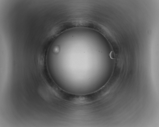 X0000112390695200908131549