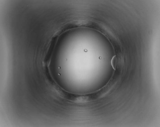 X0000112390700200908131549