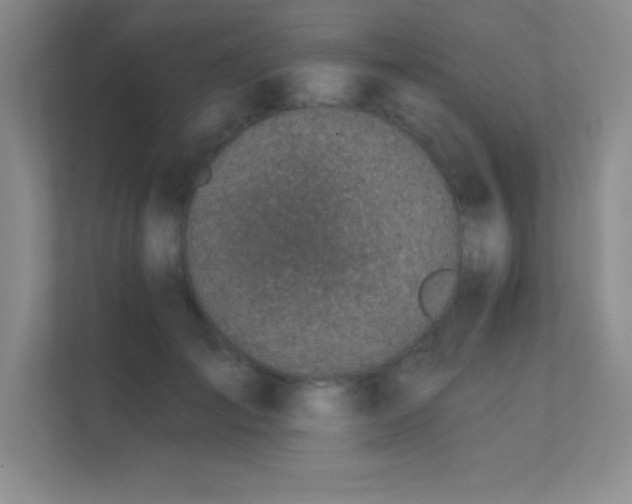 X0000112390701200908131549