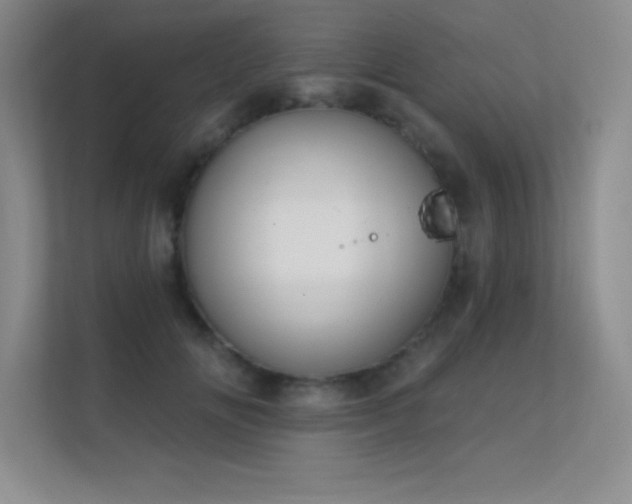 X0000112390702200908131549