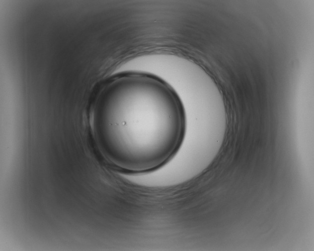 X0000112390704200908131549