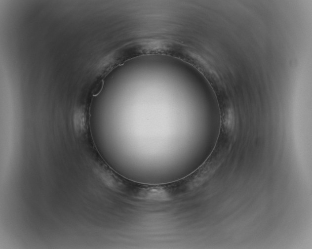 X0000112390715200908131549