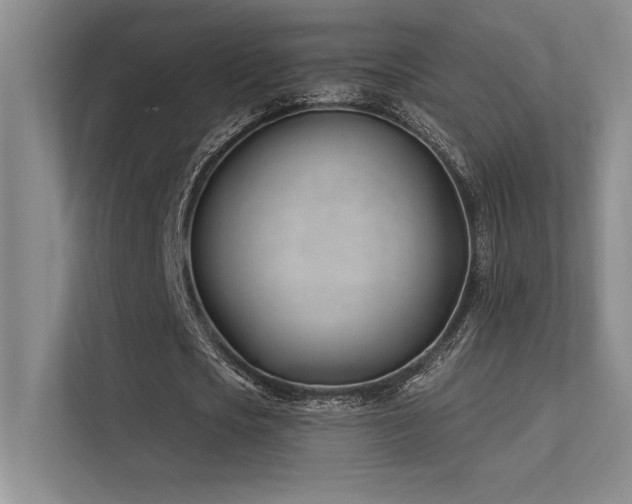 X0000112390721200908131548