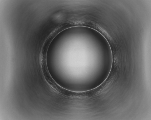 X0000112390722200908131548