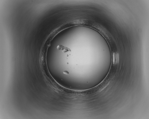 X0000112390723200908131548