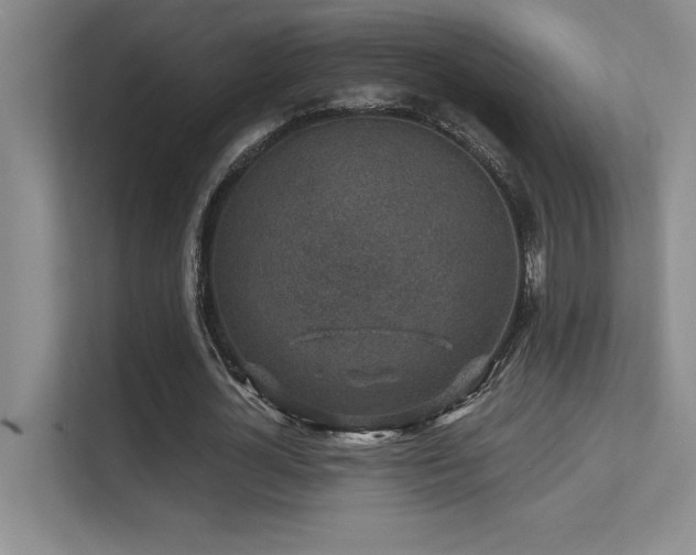 X0000112390724200908131548