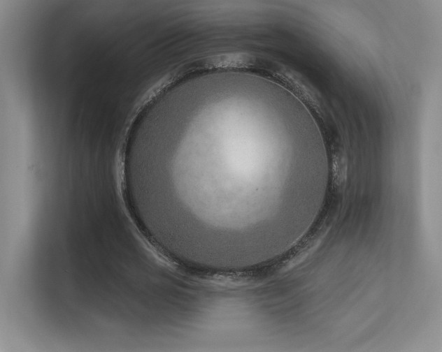 X0000112390725200908131548