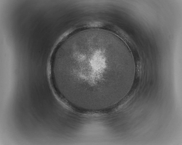 X0000112390726200908131548