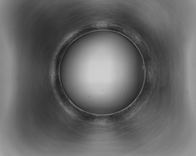 X0000112390728200908131548