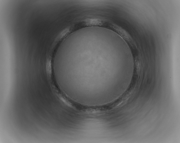 X0000112390729200908131548