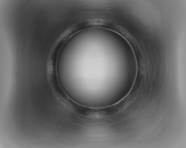 X0000112390731200908131548