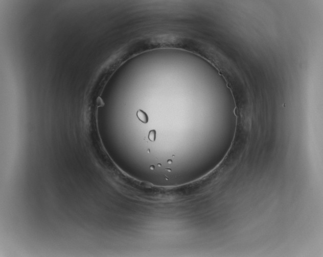 X0000112390735200908131548