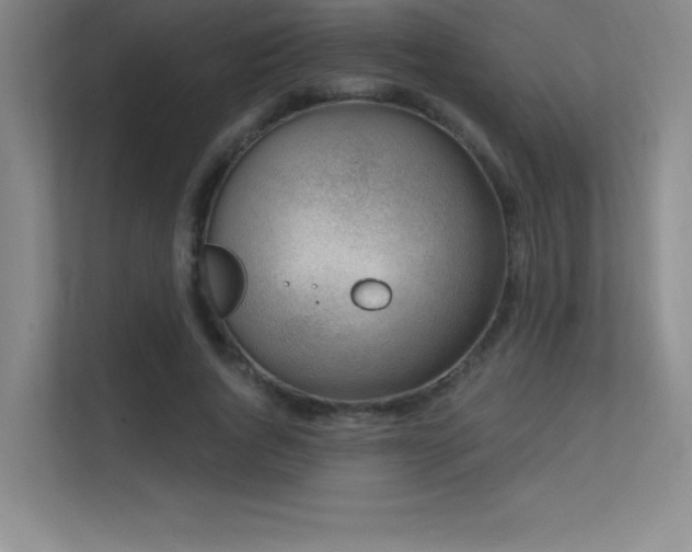 X0000112390736200908131548