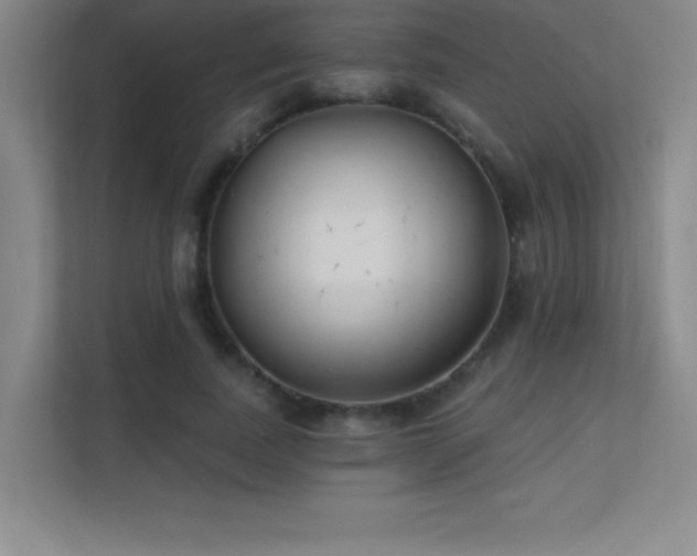 X0000112390739200908131548