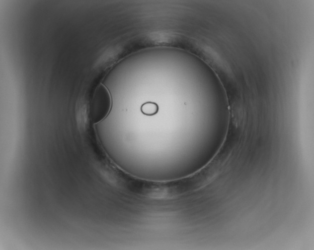 X0000112390740200908131548