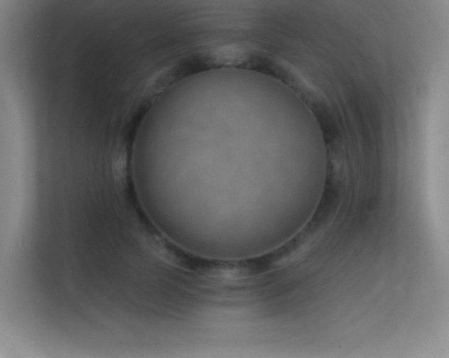 X0000112390745200908131548