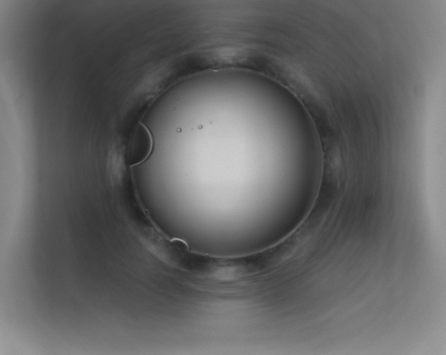 X0000112390746200908131548