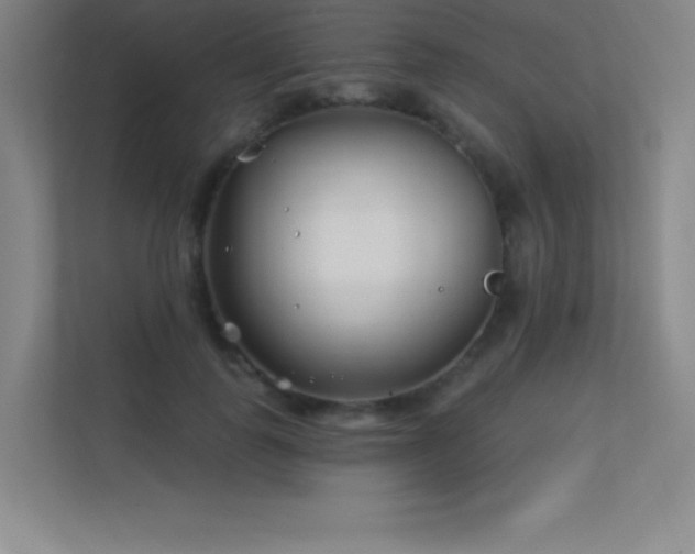 X0000112390747200908131548