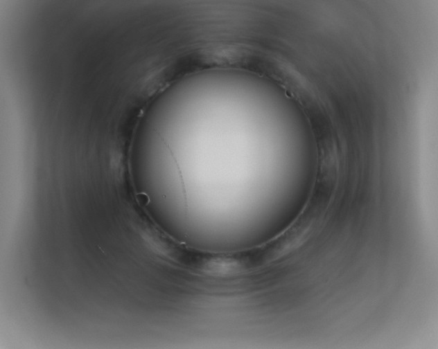 X0000112390749200908131548