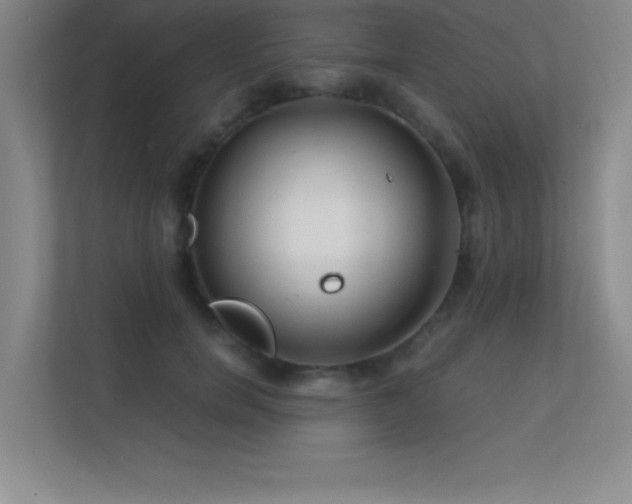 X0000112390750200908131549