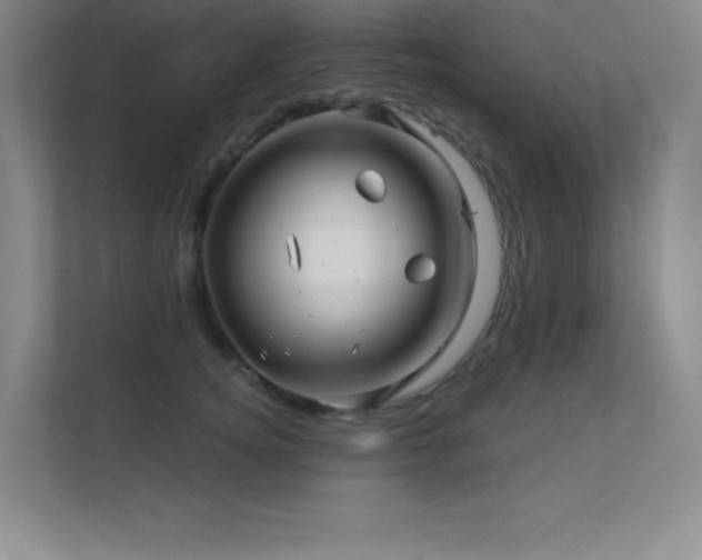 X0000112390756200908131549