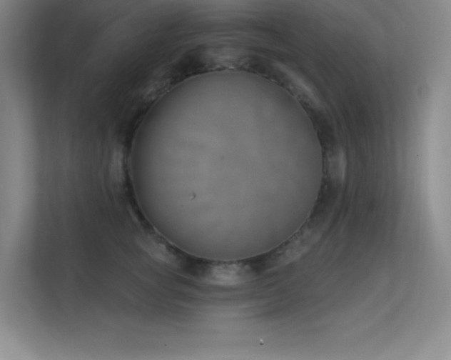 X0000112390757200908131549