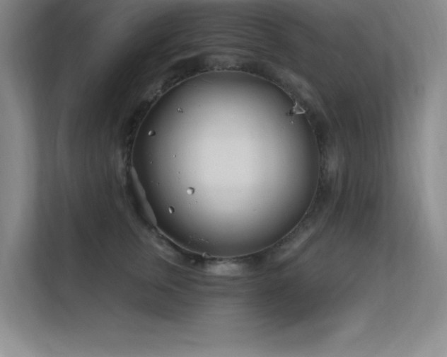 X0000112390759200908131549